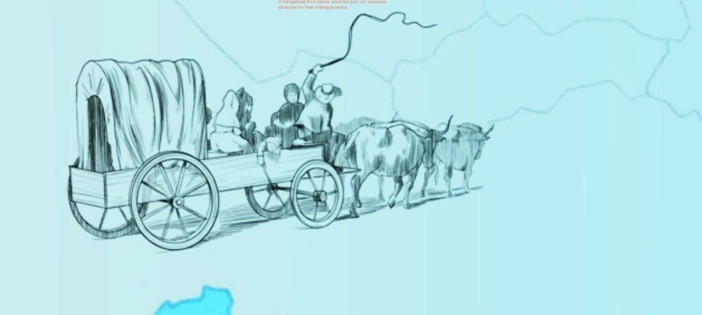Ox cart immigrant
